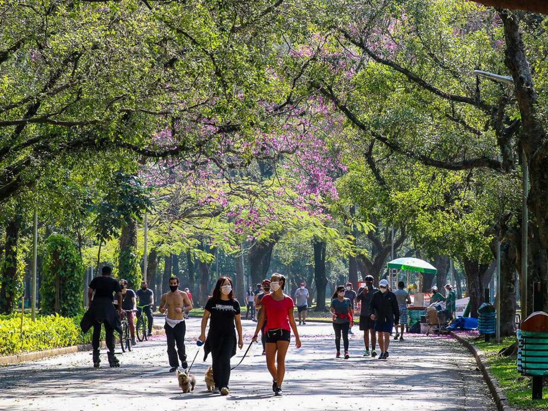 Quarto São Paulo Exterior foto